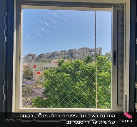 חלון פתוח עם רשת נגד יונים ונוף עירוני